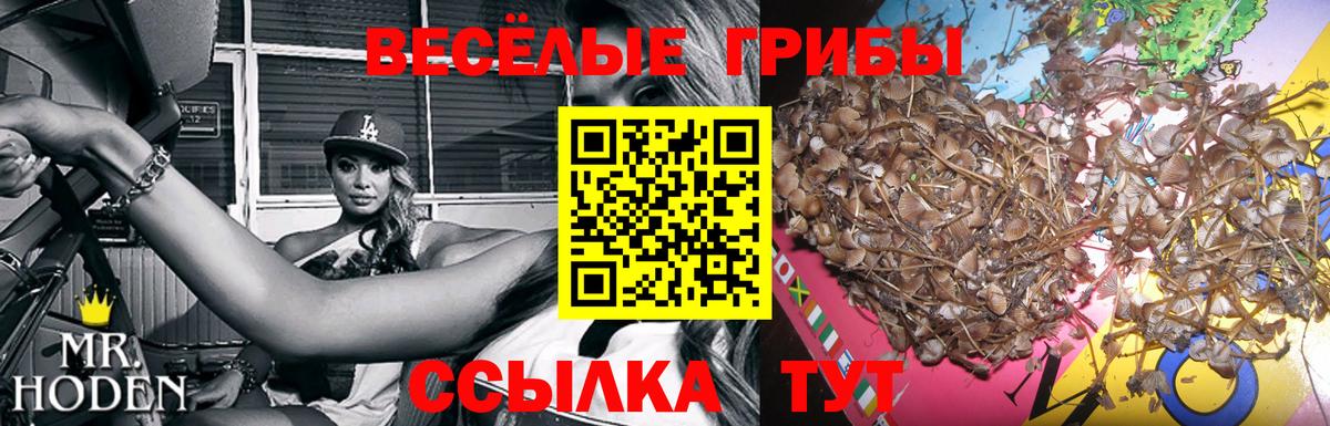 купить  сайты  Псилоцибиновые грибы Psilocybine cubensis  Вход с VPN  Тюмень  Галлюциногенные грибы мухоморы 
