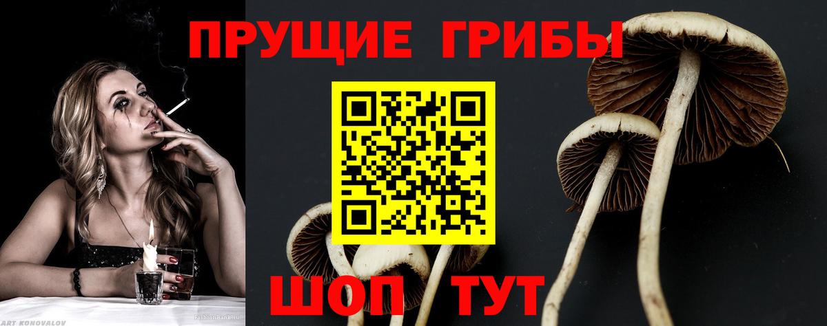 Псилоцибиновые грибы ЛСД Тюмень